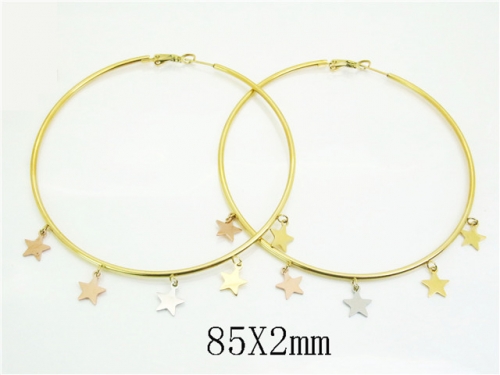 HY Wholesale Earrings 316L Stainless Steel Earrings Jewelry-HY52E0198HJX