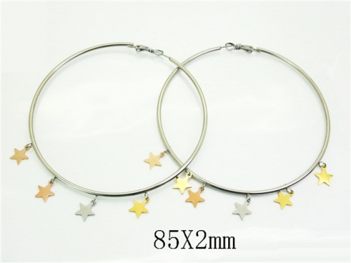 HY Wholesale Earrings 316L Stainless Steel Earrings Jewelry-HY52E0197HIR