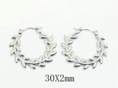 HY Wholesale Earrings 316L Stainless Steel Earrings Jewelry-HY30E1741LQ