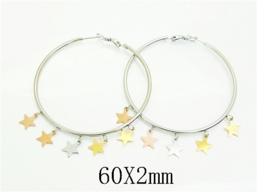 HY Wholesale Earrings 316L Stainless Steel Earrings Jewelry-HY52E0191HSS