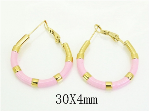HY Wholesale Earrings 316L Stainless Steel Earrings Jewelry-HY25E0787HNR