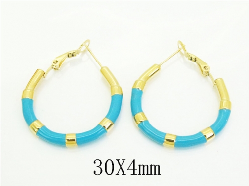 HY Wholesale Earrings 316L Stainless Steel Earrings Jewelry-HY25E0789HNQ