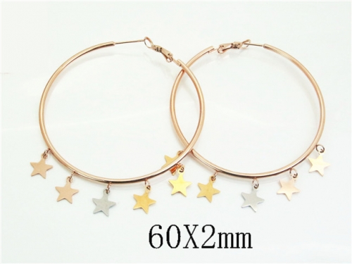 HY Wholesale Earrings 316L Stainless Steel Earrings Jewelry-HY52E0193HJC