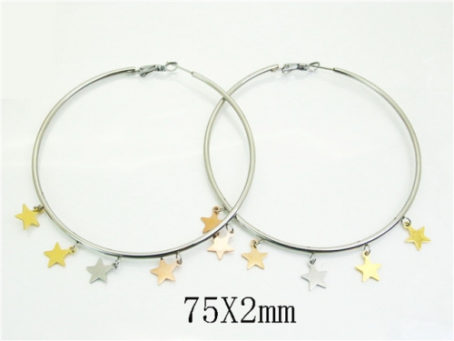 HY Wholesale Earrings 316L Stainless Steel Earrings Jewelry-HY52E0194HIZ