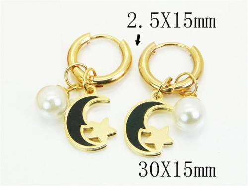 HY Wholesale Earrings 316L Stainless Steel Earrings Jewelry-HY60E1957BJL