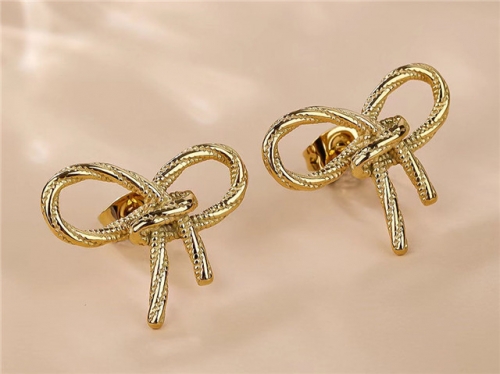 HY Wholesale Earrings 316L Stainless Steel Earrings Jewelry-HY0069E0009