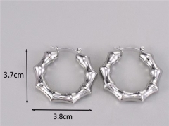 HY Wholesale Earrings 316L Stainless Steel Earrings Jewelry-HY0069E0255