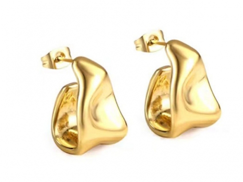 HY Wholesale Earrings 316L Stainless Steel Earrings Jewelry-HY0069E0035