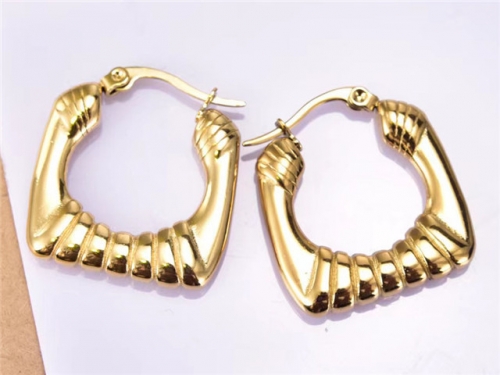 HY Wholesale Earrings 316L Stainless Steel Earrings Jewelry-HY0069E0174