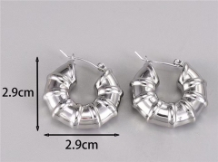 HY Wholesale Earrings 316L Stainless Steel Earrings Jewelry-HY0069E0247