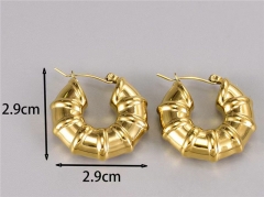 HY Wholesale Earrings 316L Stainless Steel Earrings Jewelry-HY0069E0246