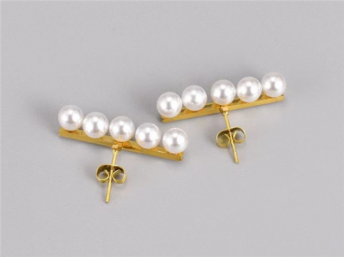 HY Wholesale Earrings 316L Stainless Steel Earrings Jewelry-HY0069E0057