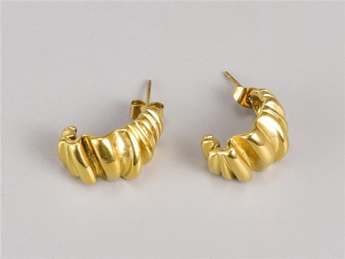 HY Wholesale Earrings 316L Stainless Steel Earrings Jewelry-HY0069E0047
