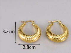 HY Wholesale Earrings 316L Stainless Steel Earrings Jewelry-HY0069E0256