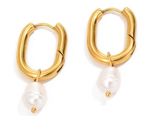 HY Wholesale Earrings 316L Stainless Steel Earrings Jewelry-HY0069E0121
