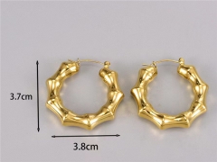 HY Wholesale Earrings 316L Stainless Steel Earrings Jewelry-HY0069E0254