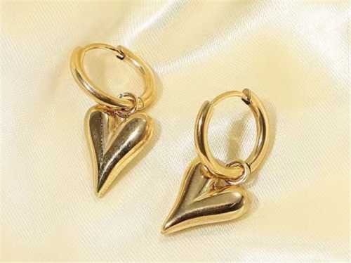 HY Wholesale Earrings 316L Stainless Steel Earrings Jewelry-HY0069E0297