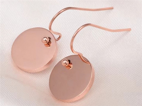 HY Wholesale Earrings 316L Stainless Steel Earrings Jewelry-HY0069E0147