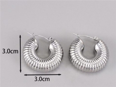 HY Wholesale Earrings 316L Stainless Steel Earrings Jewelry-HY0069E0253