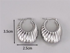 HY Wholesale Earrings 316L Stainless Steel Earrings Jewelry-HY0069E0249