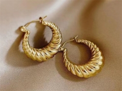 HY Wholesale Earrings 316L Stainless Steel Earrings Jewelry-HY0069E0104