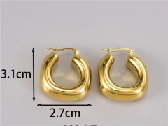 HY Wholesale Earrings 316L Stainless Steel Earrings Jewelry-HY0069E0242