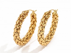 HY Wholesale Earrings 316L Stainless Steel Earrings Jewelry-HY0069E0234