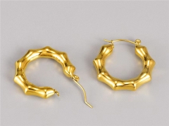HY Wholesale Earrings 316L Stainless Steel Earrings Jewelry-HY0069E0199