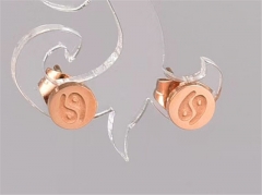 HY Wholesale Earrings 316L Stainless Steel Earrings Jewelry-HY0069E0356