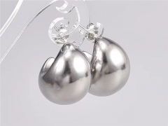 HY Wholesale Earrings 316L Stainless Steel Earrings Jewelry-HY0069E0038