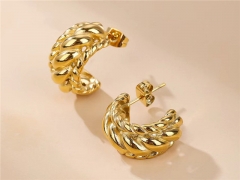 HY Wholesale Earrings 316L Stainless Steel Earrings Jewelry-HY0069E0117