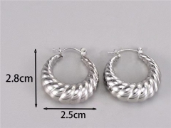 HY Wholesale Earrings 316L Stainless Steel Earrings Jewelry-HY0069E0251