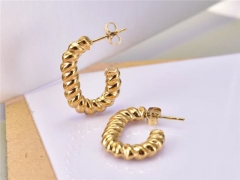 HY Wholesale Earrings 316L Stainless Steel Earrings Jewelry-HY0069E0176