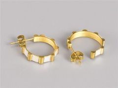 HY Wholesale Earrings 316L Stainless Steel Earrings Jewelry-HY0069E0127