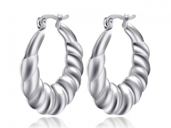 HY Wholesale Earrings 316L Stainless Steel Earrings Jewelry-HY0069E0311