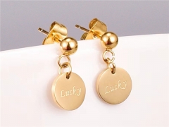 HY Wholesale Earrings 316L Stainless Steel Earrings Jewelry-HY0069E0367