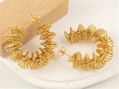 HY Wholesale Earrings 316L Stainless Steel Earrings Jewelry-HY0069E0290