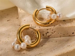 HY Wholesale Earrings 316L Stainless Steel Earrings Jewelry-HY0069E0074