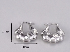 HY Wholesale Earrings 316L Stainless Steel Earrings Jewelry-HY0069E0259