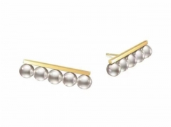 HY Wholesale Earrings 316L Stainless Steel Earrings Jewelry-HY0069E0033