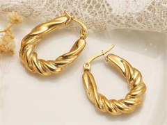 HY Wholesale Earrings 316L Stainless Steel Earrings Jewelry-HY0069E0266