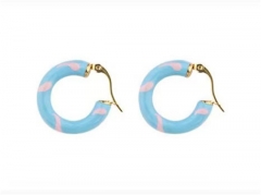 HY Wholesale Earrings 316L Stainless Steel Earrings Jewelry-HY0069E0385