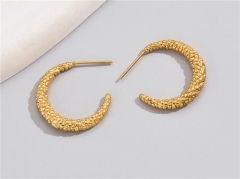 HY Wholesale Earrings 316L Stainless Steel Earrings Jewelry-HY0069E0342