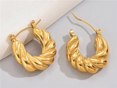 HY Wholesale Earrings 316L Stainless Steel Earrings Jewelry-HY0069E0334