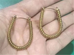 HY Wholesale Earrings 316L Stainless Steel Earrings Jewelry-HY0069E0279