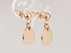 HY Wholesale Earrings 316L Stainless Steel Earrings Jewelry-HY0069E0363