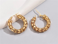 HY Wholesale Earrings 316L Stainless Steel Earrings Jewelry-HY0069E0114