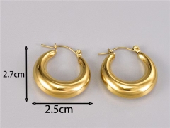 HY Wholesale Earrings 316L Stainless Steel Earrings Jewelry-HY0069E0244