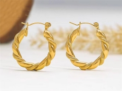 HY Wholesale Earrings 316L Stainless Steel Earrings Jewelry-HY0069E0090