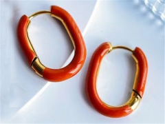 HY Wholesale Earrings 316L Stainless Steel Earrings Jewelry-HY0069E0327
